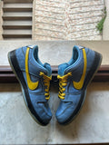 Nike SB Dunk Low The Powerpuff Girls Bubble USED