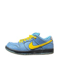 Nike SB Dunk Low The Powerpuff Girls Bubble USED