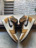 Jordan 1 Retro High OG Rookie of the Year USED