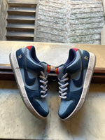 Why So Sad x Nike SB Dunk Low Pro Coastal Blue USED