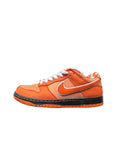 Concepts x Nike Dunk SB Low Orange Lobster Used