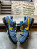 Nike SB Dunk Low The Powerpuff Girls Bubble USED