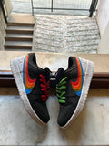 Dunk SB Low Polaroid USED
