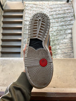 Dunk SB Low Polaroid USED