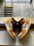 Air Jordan 1 High Element Gore-Tex Light Curry USED