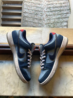 Why So Sad x Nike SB Dunk Low Pro Coastal Blue USED