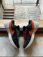 Dunk SB Low Polaroid USED